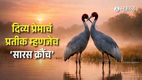 Valentines Day Special Love Story