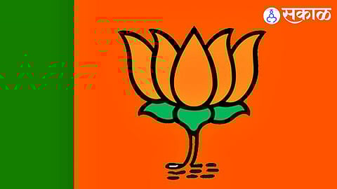 bjp party