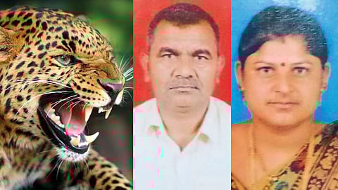 Leopard Attack on Farmer Near Nashik