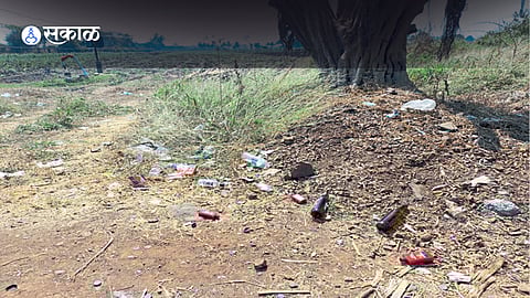 terror and drug nuisance