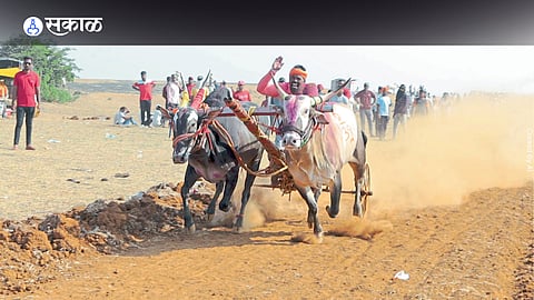Winning pair Billa-Chikya
