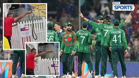 Snake spotted inside Pakistan’s dugout
