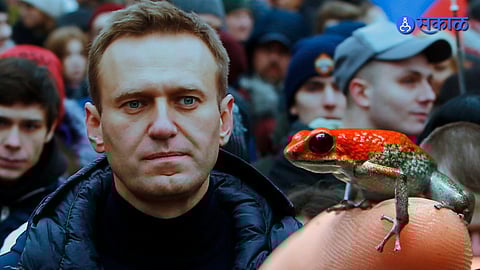 Navalny Death Row Deepens After Europe Cites Toxic Substance