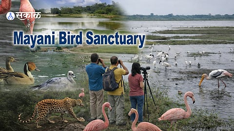 Visitors scanning Mayani Lake for flamingos