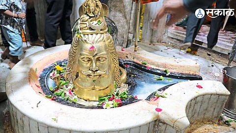 Devotional Zeal Peaks as ‘Bhole Ki Baraat’ Draws Huge Crowds