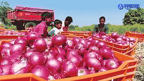 Onion Export Policy India