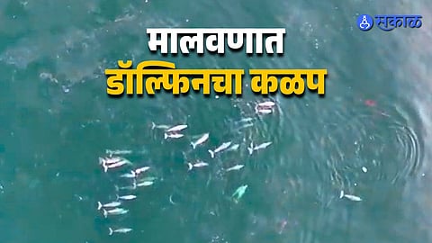 Stunning Marine View From Malvan Coast Goes Viral