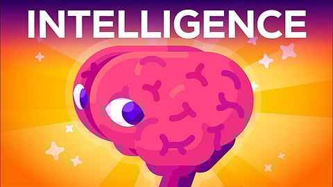 Intelligence Test