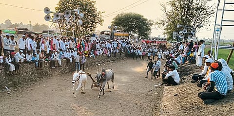 काठापूर बुद्रुक येथील 
शर्यतीत ३२० बैलगाडे