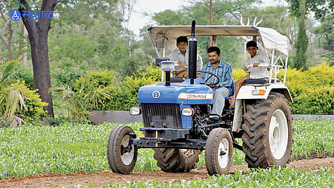 Farmers inspecting