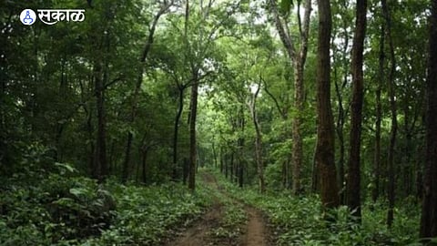 Resort and eco-tourism development