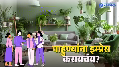 Indoor plant benefits