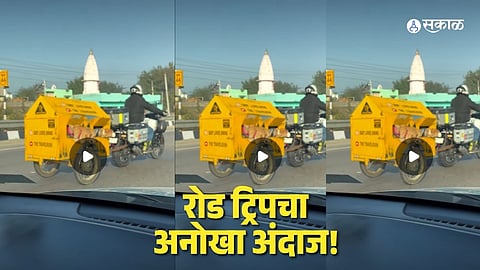 dogs road trip viral video