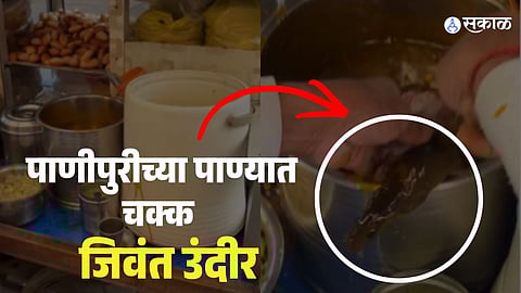  Live Rat Found in Pani Puri Water in Punjab 