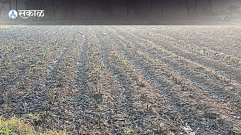 winter weather Farming