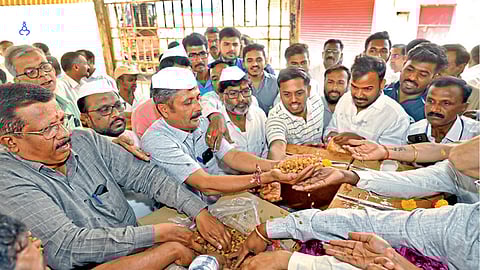 Traders inspect fresh green raisins
