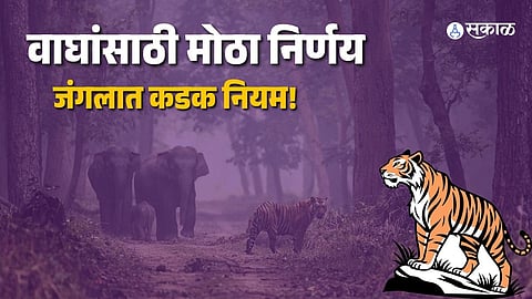 Tourists on a jeep safari inside Dudhwa Tiger Reserve following new forest guidelines.