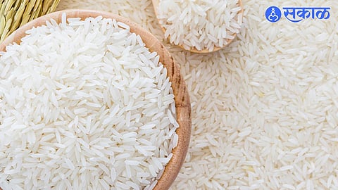Rice