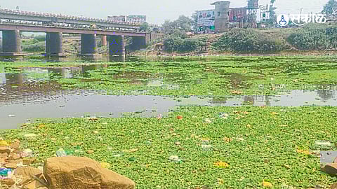 Panchganga river surface