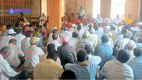 wildlife attacks and demand