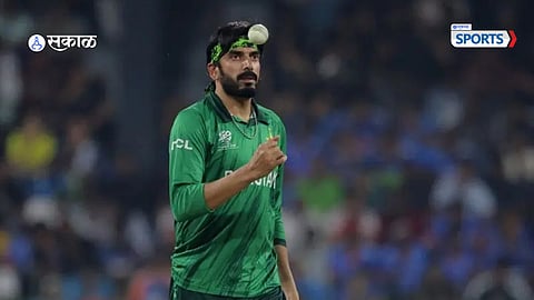 New Zealand vs Pakistan