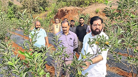कास - उपमुख्यमंत्री एकनाथ शिंदे रमले शेतात....