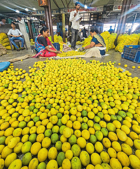 कडक उन्हामुळे लिंबाच्या दरात तेजी