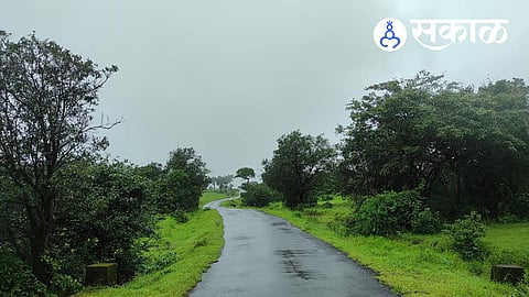 Dajipur Sanctuary Rain