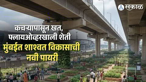 Mumbai Urban farm under flyover