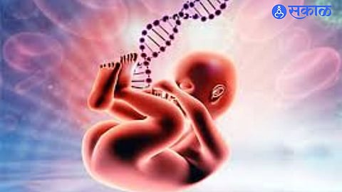 ‘Khabri Yojana’ Aims to Stop Female Foeticide with Cash Incentive