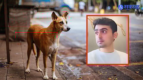 Mumbai : रेबीज झाल्याच्या भीतीनं ३० वर्षीय तरुणानं आयुष्य संपवलं; भटक्या कुत्र्याच्या चाव्यानंतर घेतलेलं एकच इंजेक्शन