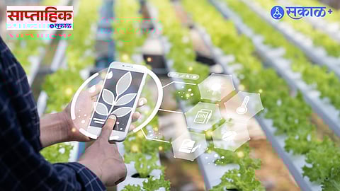 Satara Agriculture Development 