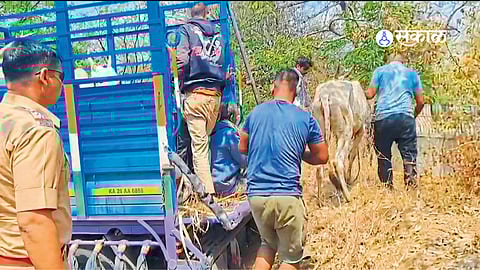 Kupwad police inspect