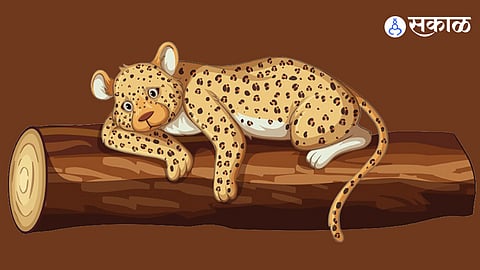 Leopard Death