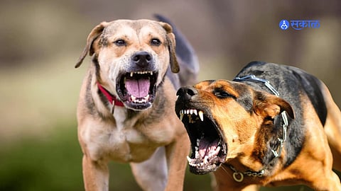 Residents gather near the spot