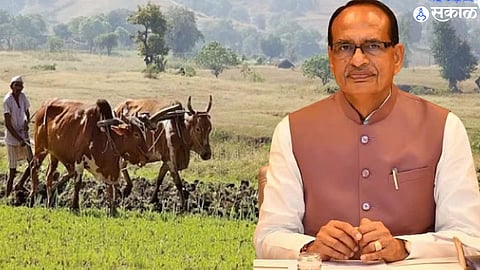 Union Agriculture Minister Shivraj Singh Chouhan  
