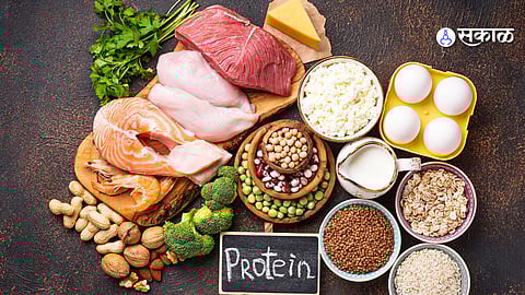 Why Protein Is Essential for Everyday Health, Not Just Fitness