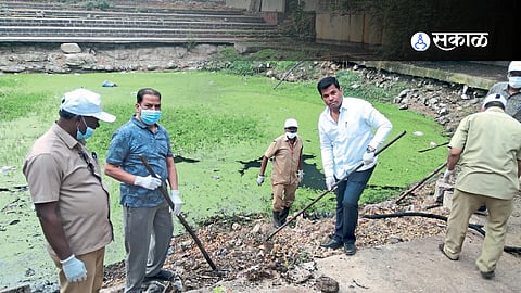 plastic waste and algae