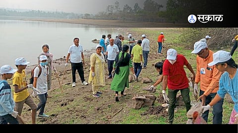 collect plastic and paper waste