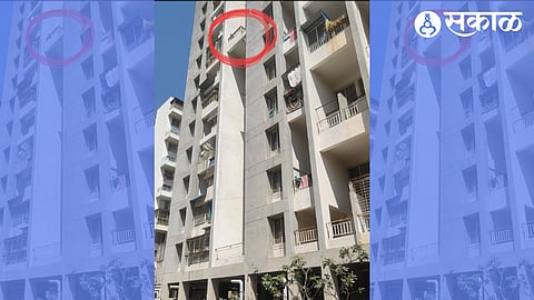 majestic oasis society