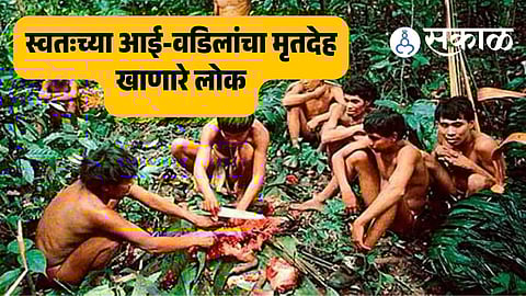 fore tribe papua new guinea funerary cannibalism kuru disease laughing death endocannibalism prions