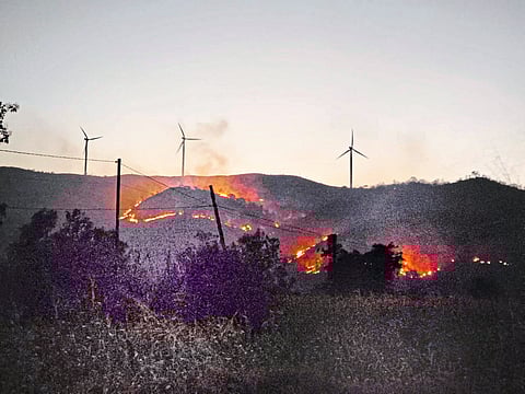 ढेबेवाडी पवनचक्की कंपन्यांसह लगतच्या शेतकऱ्यांनाही नोटीसा