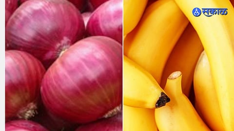 Banana and Onion Exports
