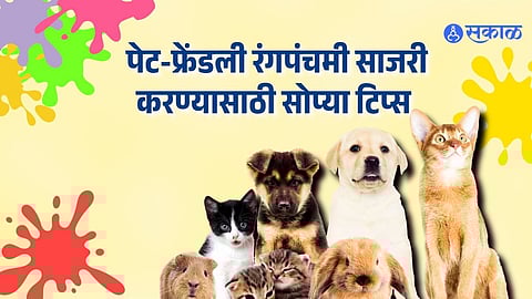 Pet Friendly Rangapanchami 2026: यंदाची रंगपंचमी फक्त आपल्यासाठीच नाही, तर 'त्यांच्या'साठीही खास करा; अशी साजरी करा पेट-फ्रेंडली रंगपंचमी