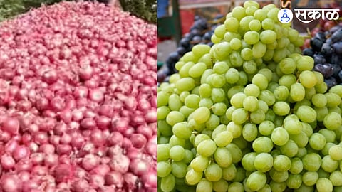 Grape and Onion