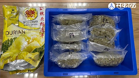 Ganja Seized