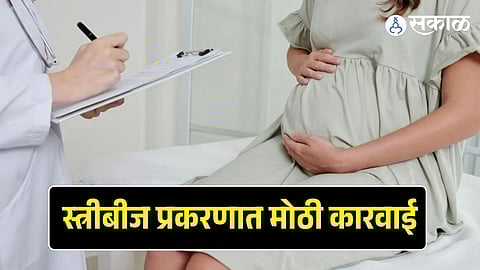 Female Egg Trafficking