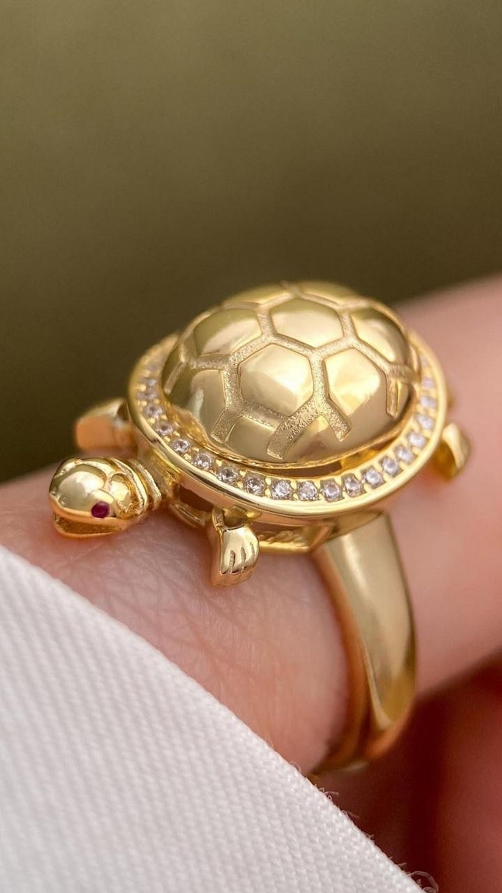 Turtle Ring Benefits in Astrology: Which Zodiac Signs Should Wear ...