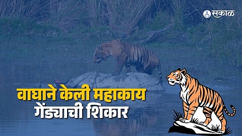 Dudhwa Tiger Reserve