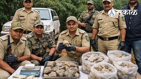 whale vomit smuggling case in Mahabaleshwar satara